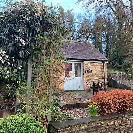 Maristow Cottages, Overlook Tamar Valley Dartmoor プリマス エクステリア 写真
