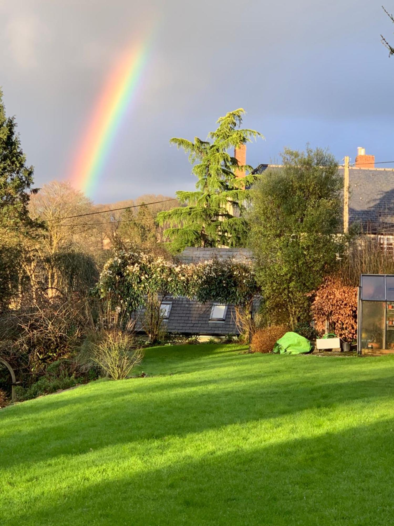 Maristow Cottages, Overlook Tamar Valley Dartmoor プリマス エクステリア 写真