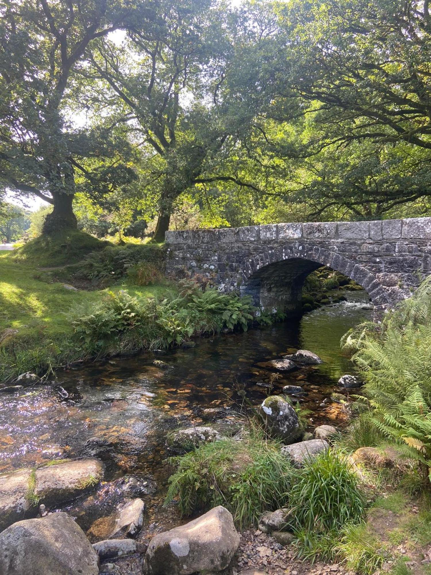 Maristow Cottages, Overlook Tamar Valley Dartmoor プリマス エクステリア 写真