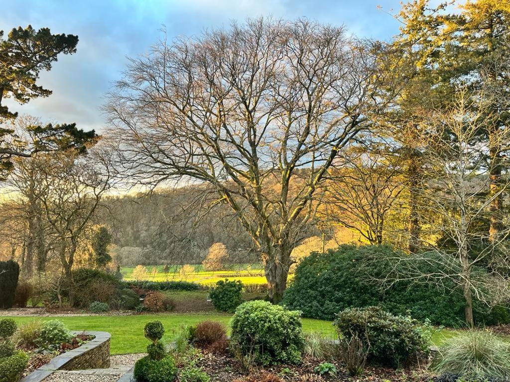 Maristow Cottages, Overlook Tamar Valley Dartmoor プリマス エクステリア 写真