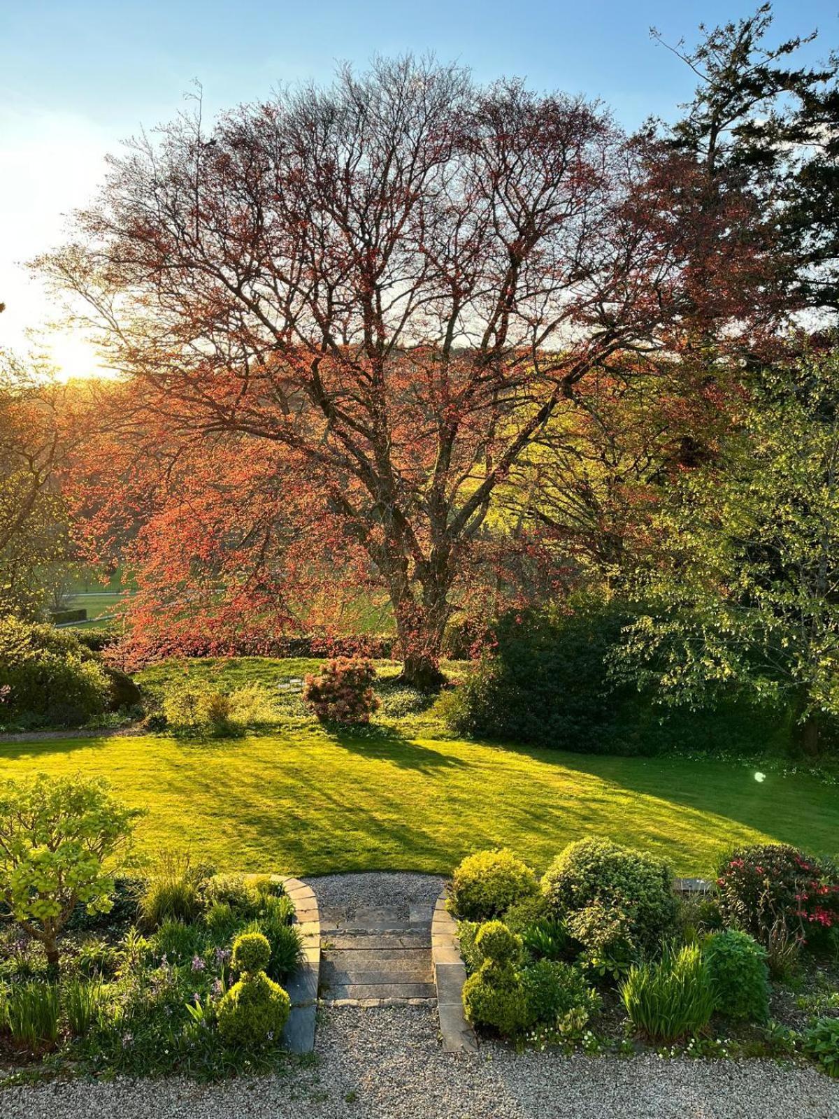 Maristow Cottages, Overlook Tamar Valley Dartmoor プリマス エクステリア 写真