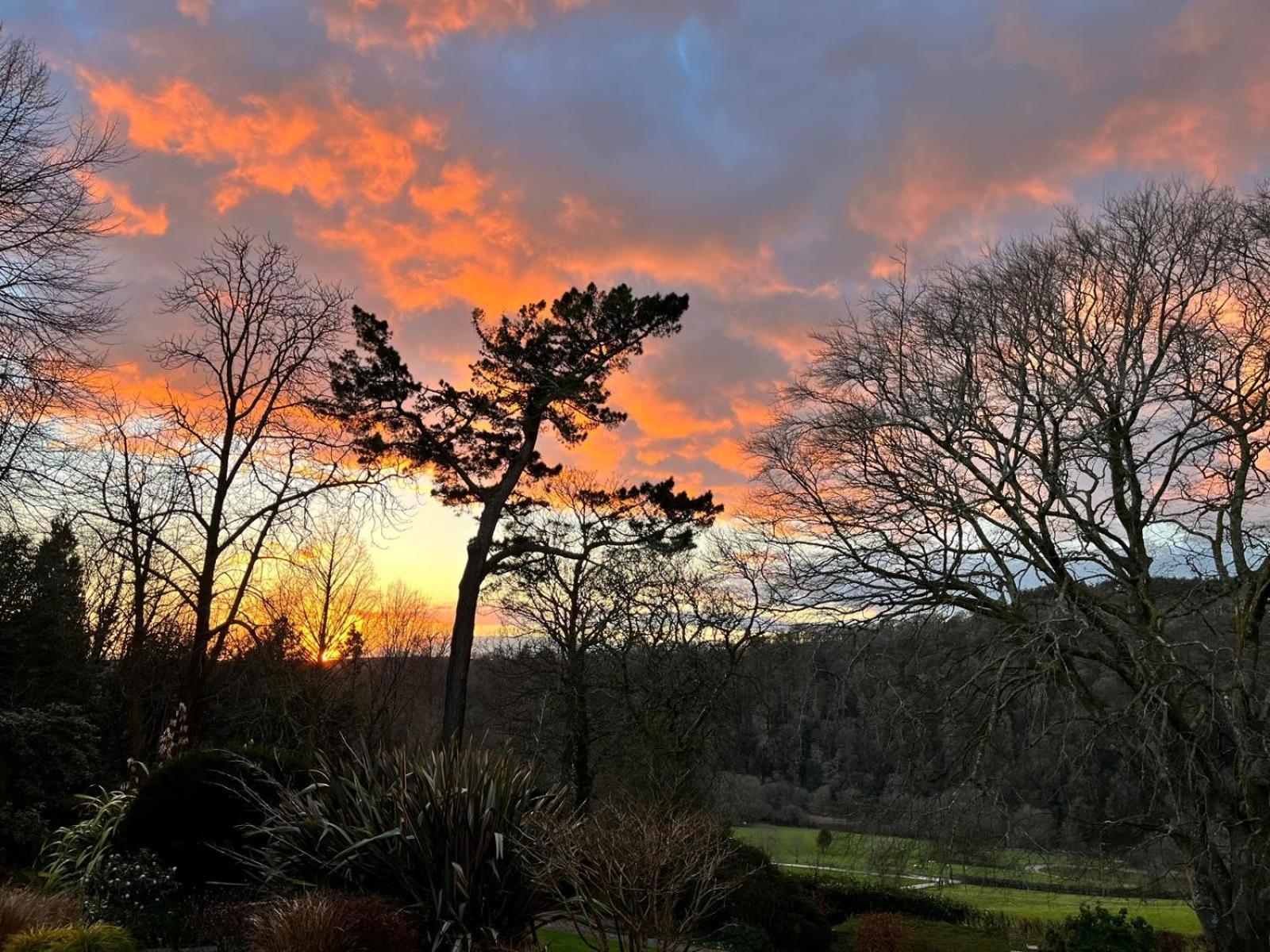 Maristow Cottages, Overlook Tamar Valley Dartmoor プリマス エクステリア 写真